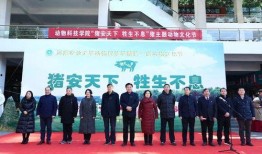 河南省最新爆料黑色科技,最新黑色科技震撼亮相，颠覆传统认知！